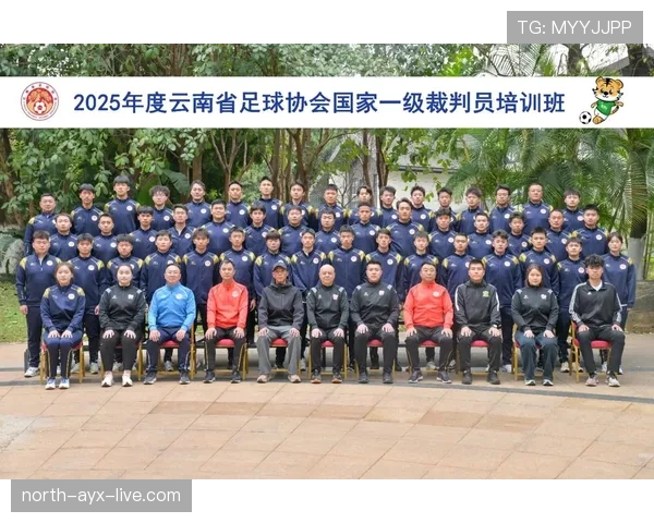 足球假动作规则解析：判罚标准与裁判的执行依据
